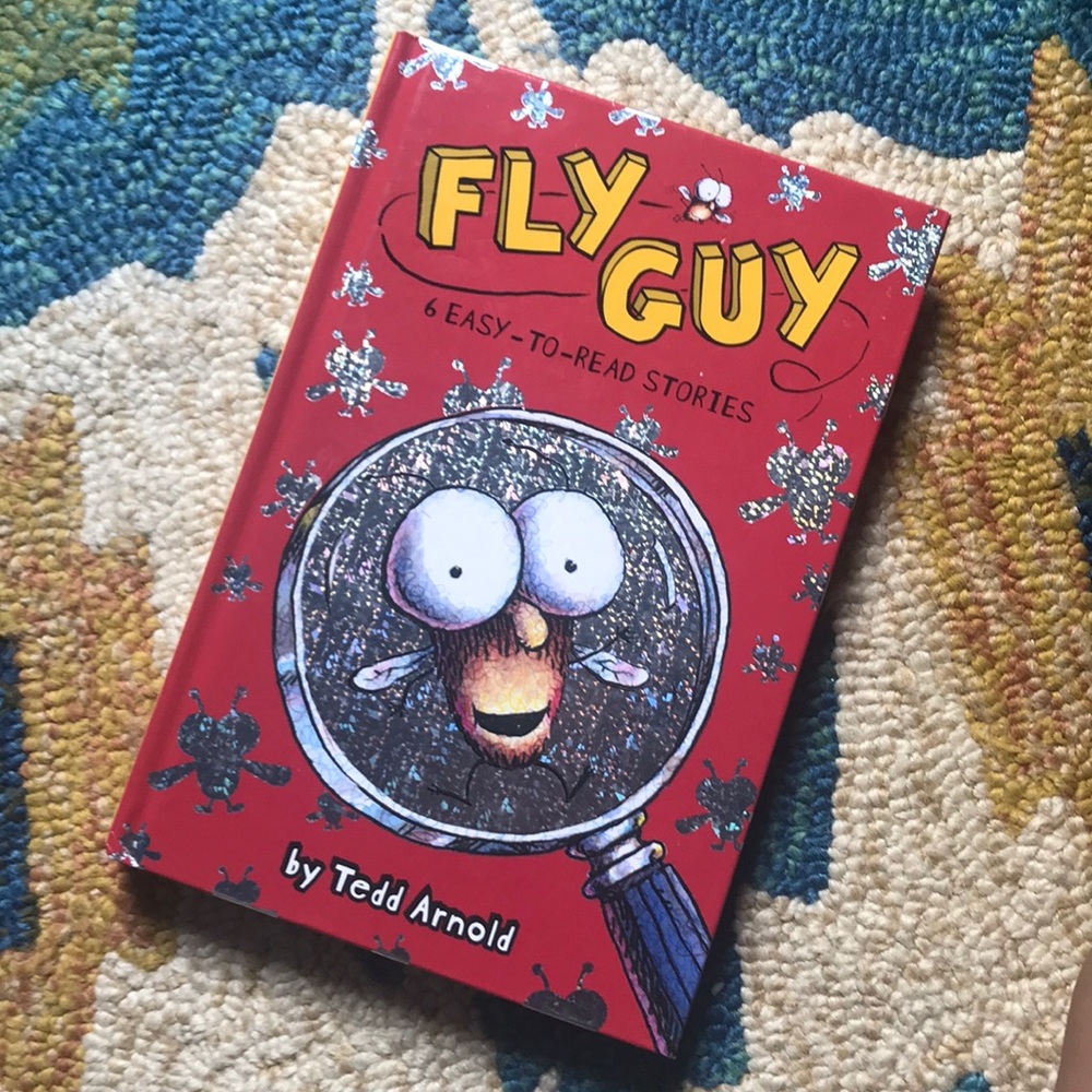 Fly Guy Book. Free with any $25+ purchase.